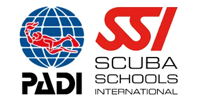 Dive Course PADI and SSI Tenerife Dive Course PADI and SSI Tenerife