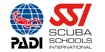 kurs nurkowania SSI i PADI Teneryfa kurs nurkowania SSI i PADI Teneryfa