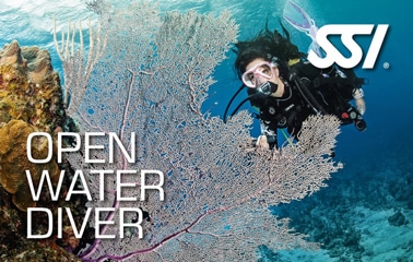 kurs Open Water Diver Teneryfa kurs Open Water Diver Teneryfa