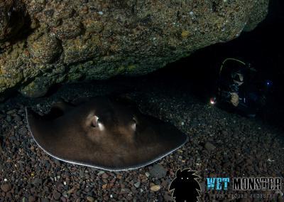 nurkowanie jaskinie Teneryfa