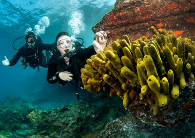 Nurkowanie Teneryfa ze zdjęciami