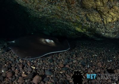 nurkowanie w jaskiniach Teneryfa