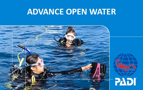 PADI Advanced Open Water Diver Teneryfa PADI Advanced Open Water Diver Teneryfa