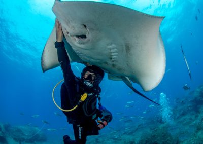 podwodne sesje fotograficzne Teneryfa